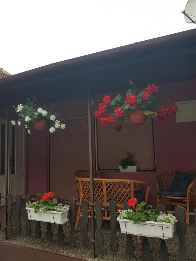 Apartmani, Sobe Ziza Bezdan Екстер'єр фото