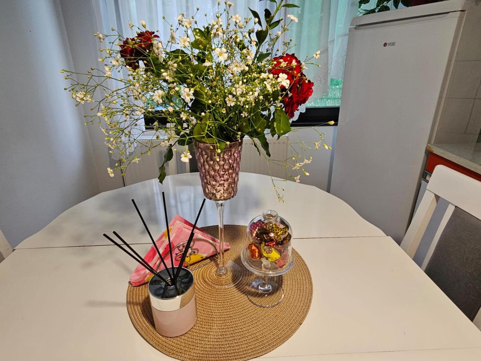 Apartmani, Sobe Ziza Bezdan Екстер'єр фото